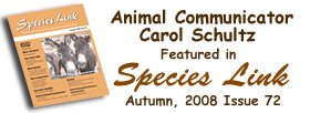 species link magazine